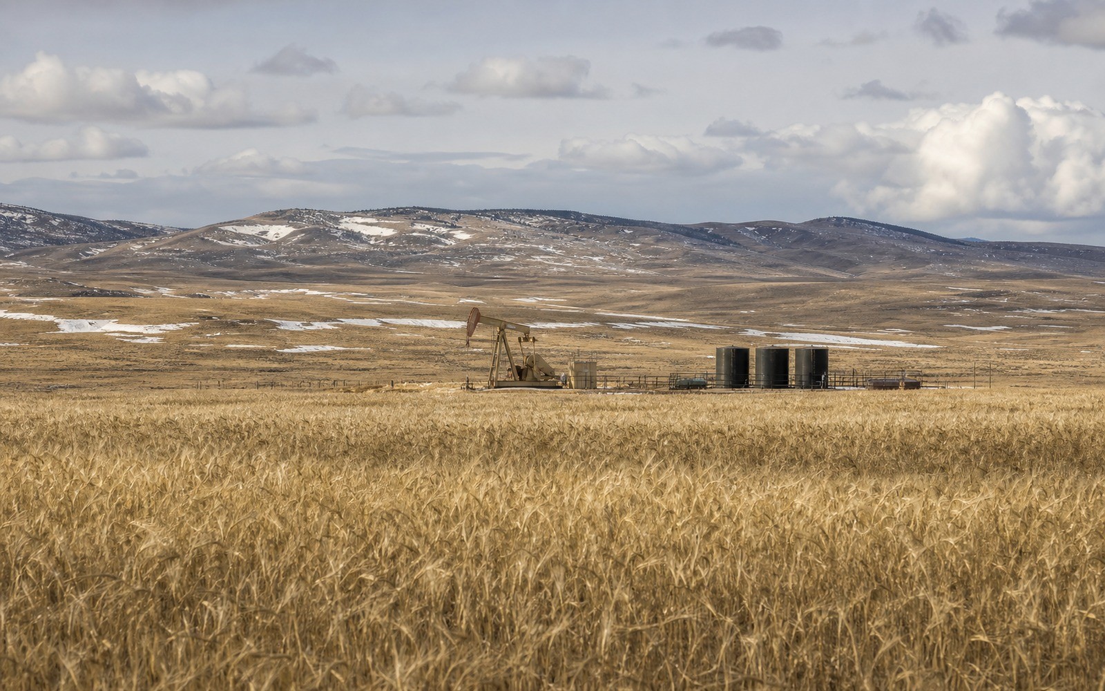 Powder River Basin Mineral Rights